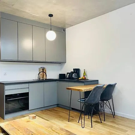 Studio Mango W/Patio & Parking Ґлівіце Екстер'єр фото